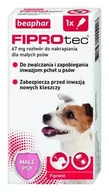 Pozostałe akcesoria dla psów - Beaphar Fiprotec S dla psów od 2 do 10 kg 67mg 22110-uniw - miniaturka - grafika 1