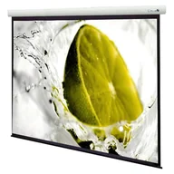 Ekrany projekcyjne - Suprema Andromeda 16:9 200x113cm Matt Grey HD - Ekran projekcyjny z napędem elektrycznym ✦ SALON ✦ ZAPYTAJ O RABAT ✦ RATY 30x0% - miniaturka - grafika 1