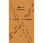 Poezja - Przebieżka po grzeszkach - miniaturka - grafika 1