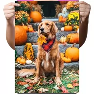 Zabawki kreatywne - Haft Diamentowy Diamond Painting,DIAMENTOWY MALARZ,Obraz DIY 5D,Mozaika Diamentowa 30x40, Pies - miniaturka - grafika 1