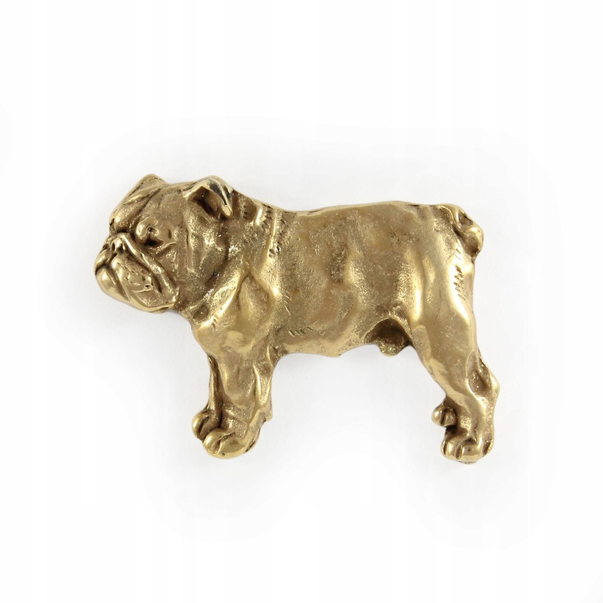 Buldog Angielski Bulldog pozłacany pin broszka