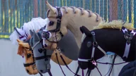 Puzzle - PUZZLE HOBBY HORSE KONIE KOŃ A3 252 el z Nadrukiem + IMIĘ Pudełko #56 - miniaturka - grafika 1