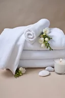 Ręczniki - Ręcznik Deluxe Standard do rąk, 100 % bawełna 50x100 cm, 450 gsm, biały - miniaturka - grafika 1