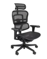 Fotele i krzesła biurowe - Fotel ergonomiczny Ergohuman 2 Ultra BS Black, biurowy, obracany, na kółkach, do biura - miniaturka - grafika 1