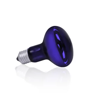 Żarówka Terra Night Heat Blue 60W - Akcesoria do terrarium - miniaturka - grafika 1