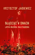 Poezja - Błądząc w snach. Liryka miłosna, mało radosna - miniaturka - grafika 1