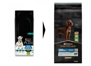 Pro Plan Pies Pro Plan OPTIDIGEST Adult Large Athletic Sensitive Digestion 14kg - Sucha karma dla psów - miniaturka - grafika 2