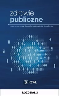 Zdrowie publiczne. Rozdział 3 - E-booki - nauka - miniaturka - grafika 1