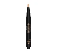 Korektory do twarzy - Golden Rose HD Concealer - HIGH DEFINITION - Korektor pod oczy - 07 GOLCDPOC-ZY07 - miniaturka - grafika 1