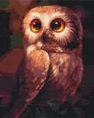 Malowanie po numerach - Symag Obraz Paint it! Malowanie po numerach. Sówka GXP-792687 - miniaturka - grafika 1