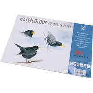 Szkolne artykuły papiernicze - Blok akwarelowy Art Expert A4/10ark.300g - miniaturka - grafika 1