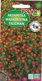 Aksamitka Wąskolistna Talizman żółta 0.5+0.2 g POLAN - Nasiona i cebule - miniaturka - grafika 1