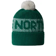 Czapki i chusty sportowe męskie - Czapka The North Face Retro Cabin 0A88QW84O1 - zielona - miniaturka - grafika 1