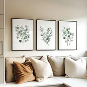 Obrazy i zdjęcia - Eukaliptus i Szałwia - Zestaw trzech grafik botanicznych - miniaturka - grafika 1