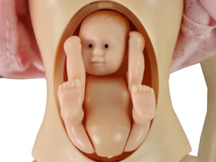 Lalka Rodzina Chłopak Dziewczyna Lucy w Ciąży - Lalki dla dziewczynek - miniaturka - grafika 9