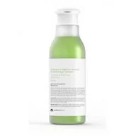 Szampony do włosów - Tea Tree Botanicapharma Botanicapharma Aloe Vera Shampoo szampon z olejkiem z drzewa herbacianego i aloesem 250ml - miniaturka - grafika 1