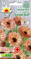 Nasiona i cebule - NAGIETEK LEKARSKI SUNSET BIFF (CALENDULA OFFICINALIS) 100 NASION - miniaturka - grafika 1