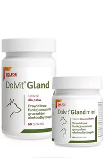 DOLFOS Dolvit Gland na gruczoły okołoodbytowe  Mini 2x60tabl. - Suplementy i witaminy dla psów - miniaturka - grafika 1