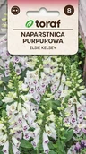 Nasiona i cebule - Naparstnica purp. Elsie Kelsey nasiona 0,1g / T / - miniaturka - grafika 1