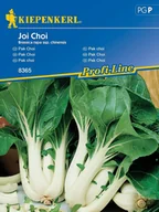 Nasiona i cebule - Pak Choi Joi Choi F1 8365 (ST) - miniaturka - grafika 1