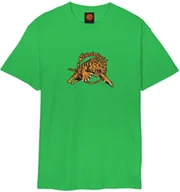 Koszulki męskie - t-shirt SANTA CRUZ SALBA TIGER SIMPLIFED FRONT TEE Sport Green - miniaturka - grafika 1