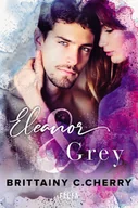 Literatura obyczajowa - Eleanor & Grey - miniaturka - grafika 1