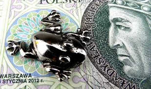 Żabka Mosiężna Średnia II Na Pomnażanie Pieniędzy Z Monetą - Gadżety dla niej i dla niego - miniaturka - grafika 3