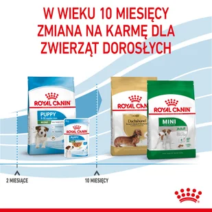 ROYAL CANIN Mini Puppy 2kg karma sucha dla szczeniąt, od 2 do 10 miesiąca życia, ras małych - Sucha karma dla psów - miniaturka - grafika 8