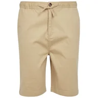Spodenki męskie - Męskie szorty Regatta Aldan Short Rozmiar: L-XL / Kolor: beżowy - miniaturka - grafika 1