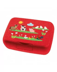 Ekologiczna Śniadaniówka Dla Dzieci - Lunch boxy - miniaturka - grafika 1