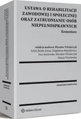 E-booki - prawo - Ustawa o rehabilitacji zawodowej i społecznej oraz zatrudnianiu osób niepełnosprawnych. Komentarz - miniaturka - grafika 1