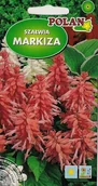Nasiona i cebule - Szałwia Markiza Malinowa 0.5 g POLAN - miniaturka - grafika 1