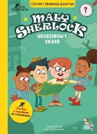 Literatura przygodowa - Mały Sherlock. Urodzinowy skarb - Pascal Prevot - miniaturka - grafika 1