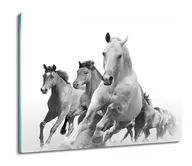 Deski do krojenia - szklana deska splashback Białe konie galop 60x52, ArtprintCave - miniaturka - grafika 1
