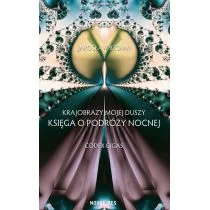 Novae Res Jarosław Bzoma Krajobrazy mojej duszy. Księga VI. Codex Gigas - Filozofia i socjologia - miniaturka - grafika 1