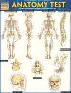 E-booki obcojęzyczne - Anatomy Test Reference Guide (8.5 x 11) [DRM] - miniaturka - grafika 1