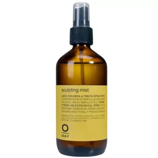 OWay Styling & Finish, rzeźbiący spray do włosów, 240ml - Kosmetyki do stylizacji włosów - miniaturka - grafika 1