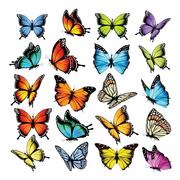 Naklejki na ścianę - Dekoracja samoprzylepna Butterflies, 30 x 30 cm - miniaturka - grafika 1