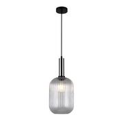 Lampy sufitowe - Italux Antiola PND-5588-1L-SC+CL PND-5588-1L-SC+CL - miniaturka - grafika 1