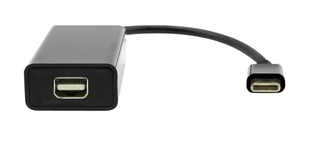 ProXtend USB-C to Mini DP 20cm black - Kable - miniaturka - grafika 1