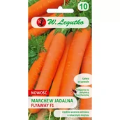 Nasiona i cebule - Nasiona Marchew Flyaway F1 0.50g - W.Legutko - miniaturka - grafika 1