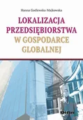 Finanse, księgowość, bankowość - Lokalizacja przedsiębiorstwa w gospodarce globalnej - Hanna Godlewska-Majkowska - miniaturka - grafika 1