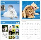 Kalendarz 2026 ścienny 30x30 Koty HELMA - Kalendarze - miniaturka - grafika 1