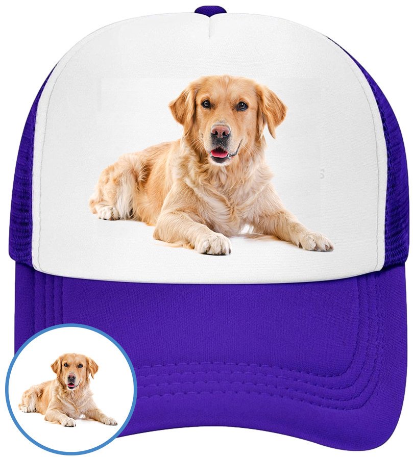 CZAPKA Z DASZKIEM PSY PIES PIESKI DLA DZIECI SIATKA NIEBIESKA BEJSBOLÓWKA