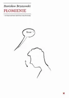 Klasyka - Płomienie - Stanisław Brzozowski - książka - miniaturka - grafika 1