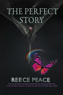 The Perfect Story - Pamiętniki, dzienniki, listy - miniaturka - grafika 1