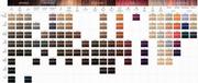 Farby do włosów i szampony koloryzujące - Schwarzkopf Igora Royal, Farba do Włosów, 12-1, 60ml - miniaturka - grafika 1