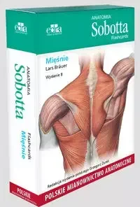 Anatomia Sobotta Flashcards. Mięśnie. Polskie mianownictwo anatomiczne - Bräuer L. - Pomoce naukowe - miniaturka - grafika 1