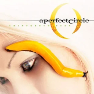 Thirteenth Step A Perfect Circle - Rock - miniaturka - grafika 3