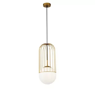 Maytoni Maytoni TELFORD P363PL-01G Zwis sufitowy 1xE27/40W MYP363PL-01G - Lampy sufitowe - miniaturka - grafika 1